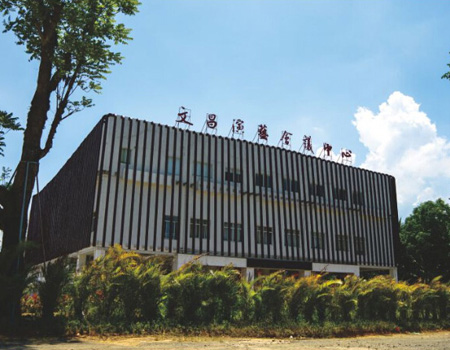 文昌市政府文化活動中心