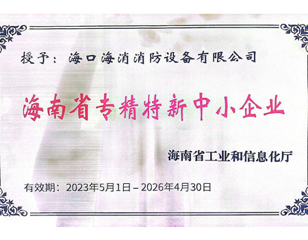 海南省專精特新中小企業(yè)